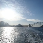 Sydney 11