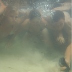 Fraser Island 17