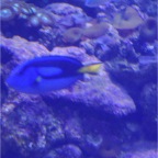 Underwater World 4
