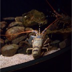 Underwater World 20