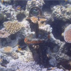 Whitsundays 31