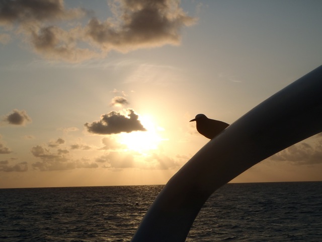 Loading Image